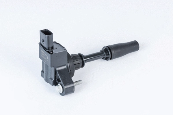 Uždegimo ritė BorgWarner (BERU) ZSE234