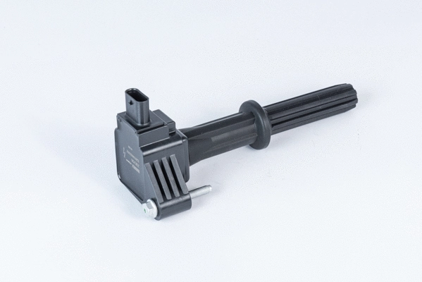Uždegimo ritė BorgWarner (BERU) ZSE235