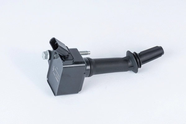 Uždegimo ritė BorgWarner (BERU) ZSE237