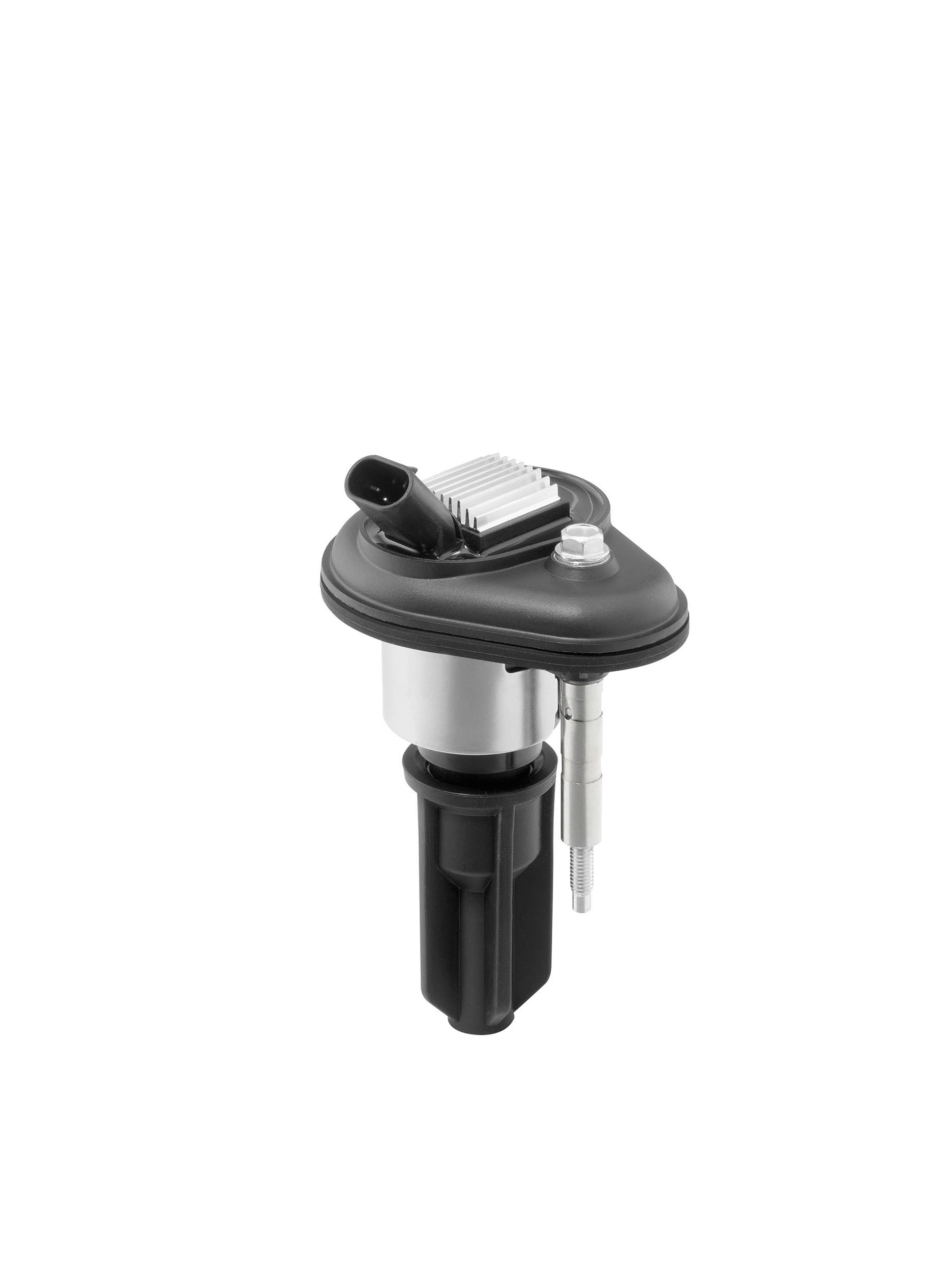 Uždegimo ritė BorgWarner (BERU) ZSE246