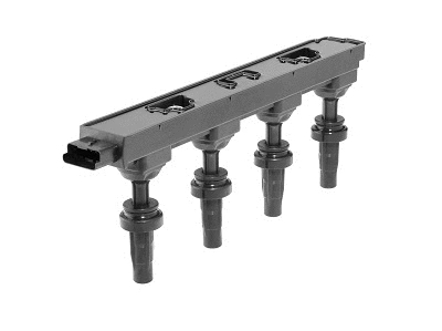Uždegimo ritė BorgWarner (BERU) ZSE279