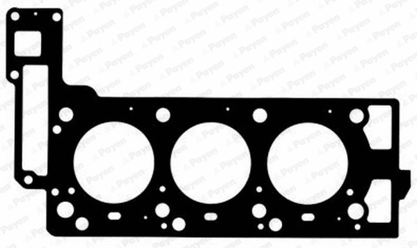 Cilindro galvos tarpinė PAYEN AG8390