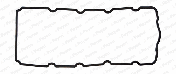 Svirties dangtelio tarpinė PAYEN JM5119