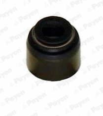 Vožtuvo riebokšlis PAYEN PA6055