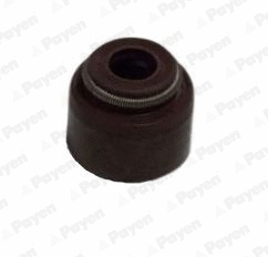 Vožtuvo riebokšlis PAYEN PB355