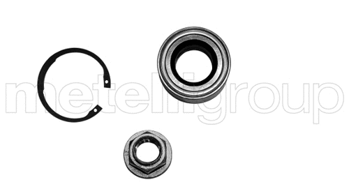 Rato guolio komplektas METELLI 19-2359