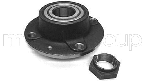 Rato guolio komplektas METELLI 19-2667