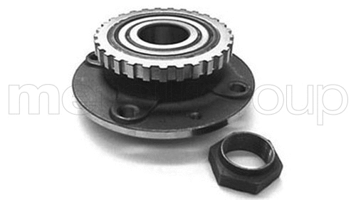Rato guolio komplektas METELLI 19-2683
