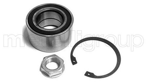 Rato guolio komplektas METELLI 19-2753