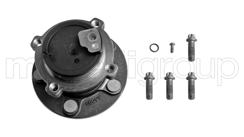 Rato guolio komplektas METELLI 19-2922