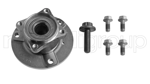Rato guolio komplektas METELLI 19-2965