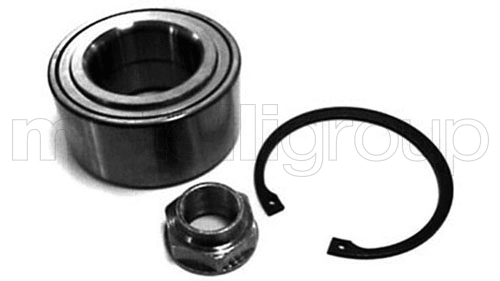 Rato guolio komplektas METELLI 19-7084