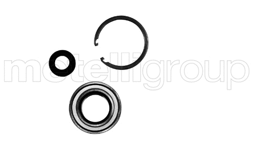 Rato guolio komplektas METELLI 19-7121