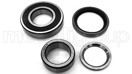 Rato guolio komplektas METELLI 19-7604