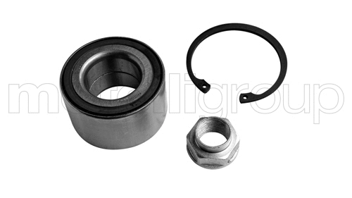 Rato guolio komplektas METELLI 19-7652
