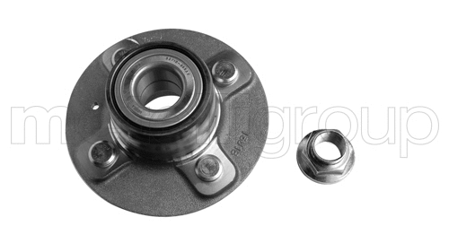 Rato guolio komplektas METELLI 19-7794