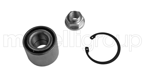Rato guolio komplektas METELLI 19-7880