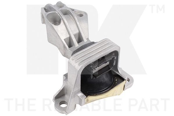 Variklio montavimas NK 59739025