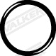 Išleidimo kolektoriaus tarpinė WALKER 80314