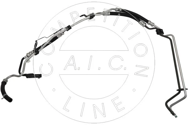 Vairo sistemos hidraulinė žarna AIC 58921Set