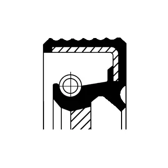 Mechaninės transmisijos veleno sandariklis CORTECO 49379439