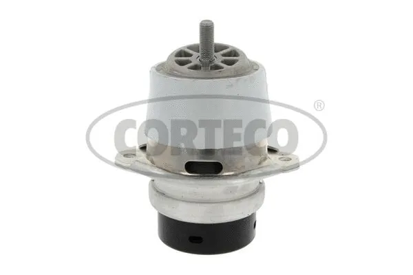 Variklio montavimas CORTECO 49393185