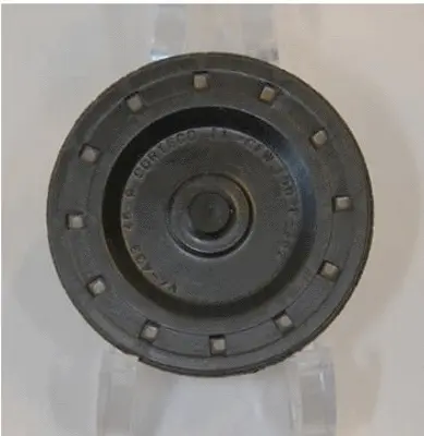 Pavaros svirties veleno tvirtinimo angos kaištis CORTECO 49413358