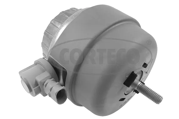 Variklio montavimas CORTECO 49446192
