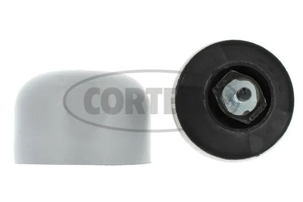 Variklio montavimas CORTECO 602572
