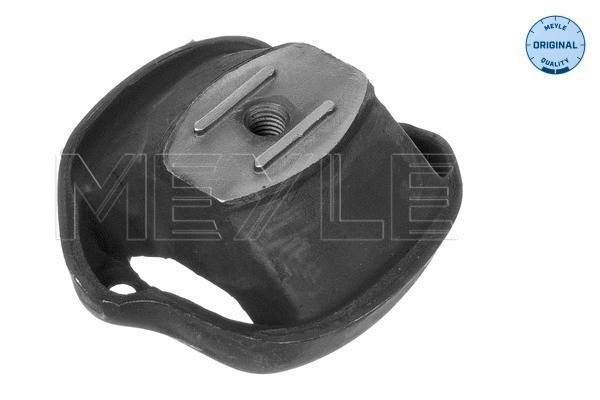 Variklio montavimas MEYLE 014 024 0011