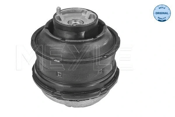 Variklio montavimas MEYLE 014 024 0117