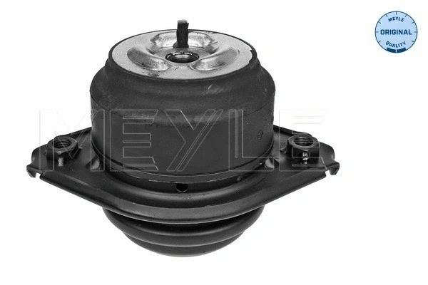 Variklio montavimas MEYLE 014 024 0120
