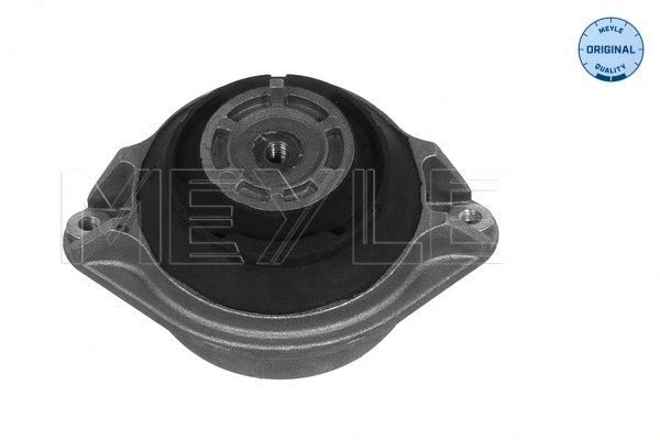 Variklio montavimas MEYLE 014 024 9047