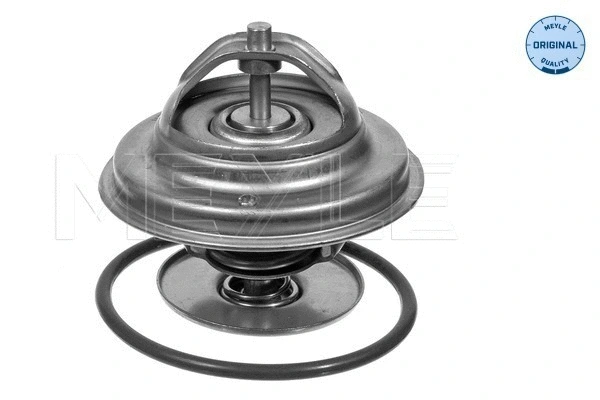 Termostatas MEYLE 028 287 0000