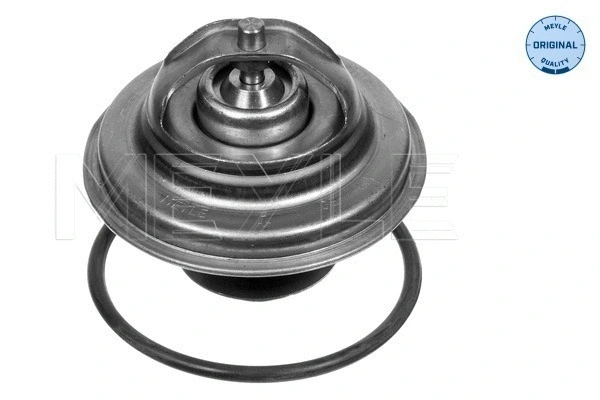 Termostatas MEYLE 028 287 0005