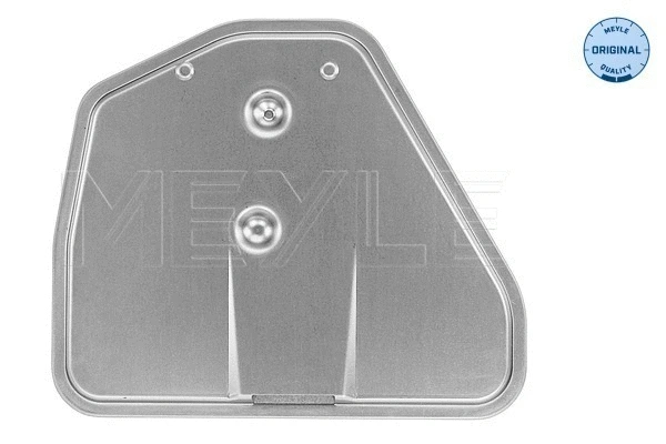 Automatinės transmisijos hidraulinis filtras MEYLE 100 136 0011