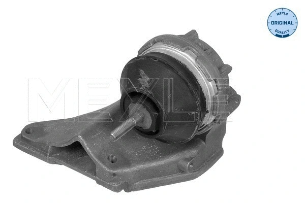 Variklio montavimas MEYLE 100 199 0018