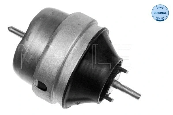 Variklio montavimas MEYLE 100 199 0040