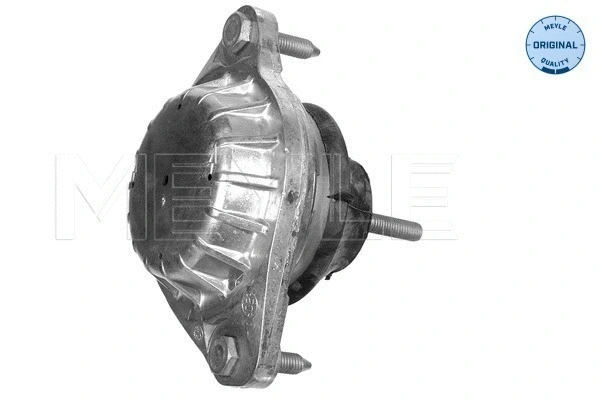 Variklio montavimas MEYLE 100 199 0046