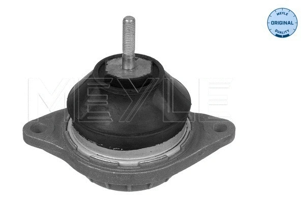Variklio montavimas MEYLE 100 199 0051