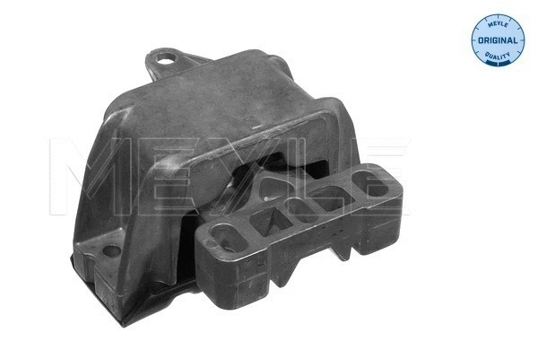 Variklio montavimas MEYLE 100 199 0053