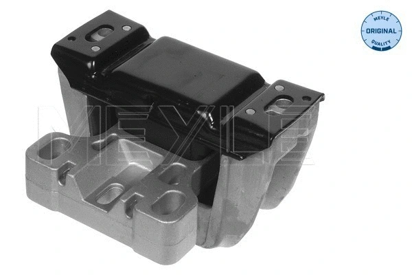 Variklio montavimas MEYLE 100 199 0069
