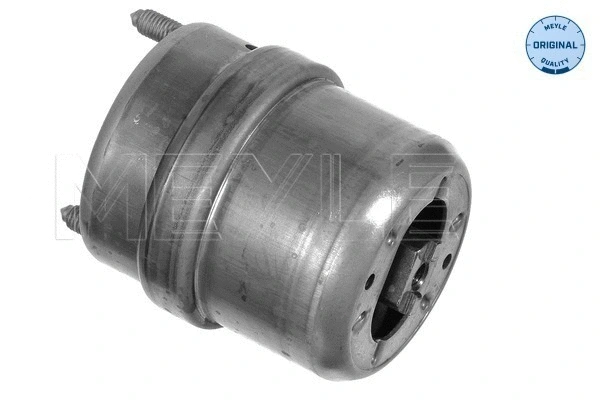 Variklio montavimas MEYLE 100 199 0074