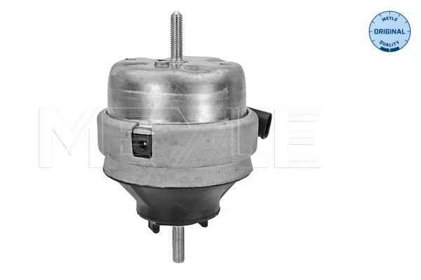 Variklio montavimas MEYLE 100 199 0134