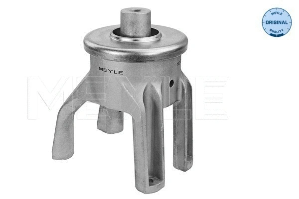 Variklio montavimas MEYLE 100 199 0147
