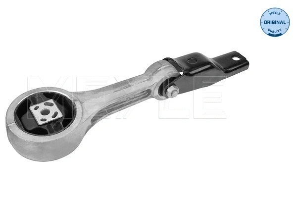 Variklio montavimas MEYLE 100 199 0181