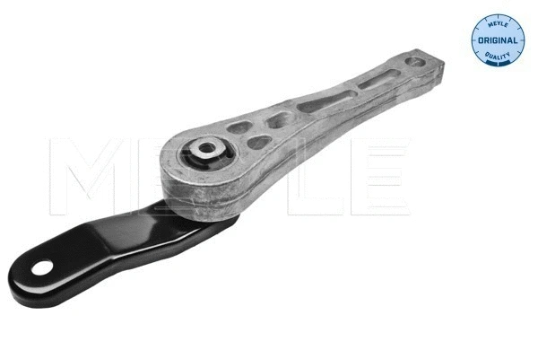 Variklio montavimas MEYLE 100 199 0195