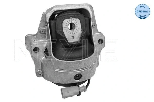 Variklio montavimas MEYLE 100 199 1004