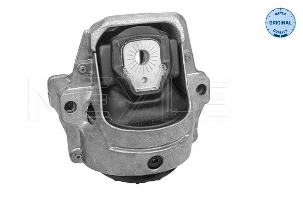 Variklio montavimas MEYLE 100 199 1007