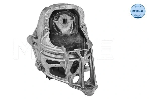 Variklio montavimas MEYLE 100 199 1013